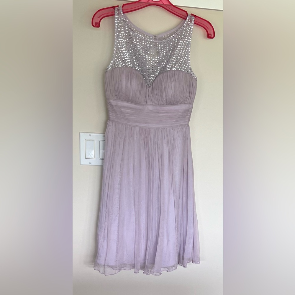 Evernew Lace Mesh Sequin Silk Dress